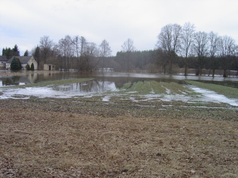 DSC03575
