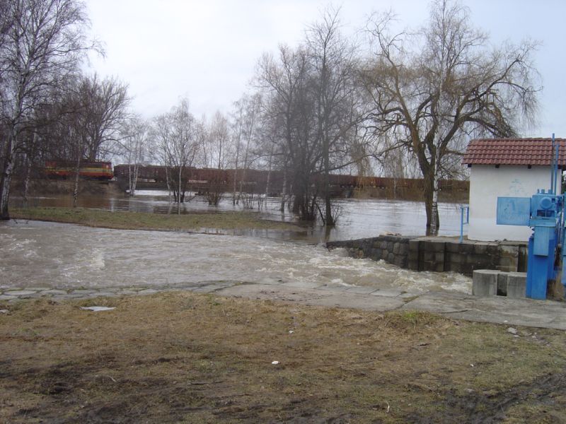 DSC03589