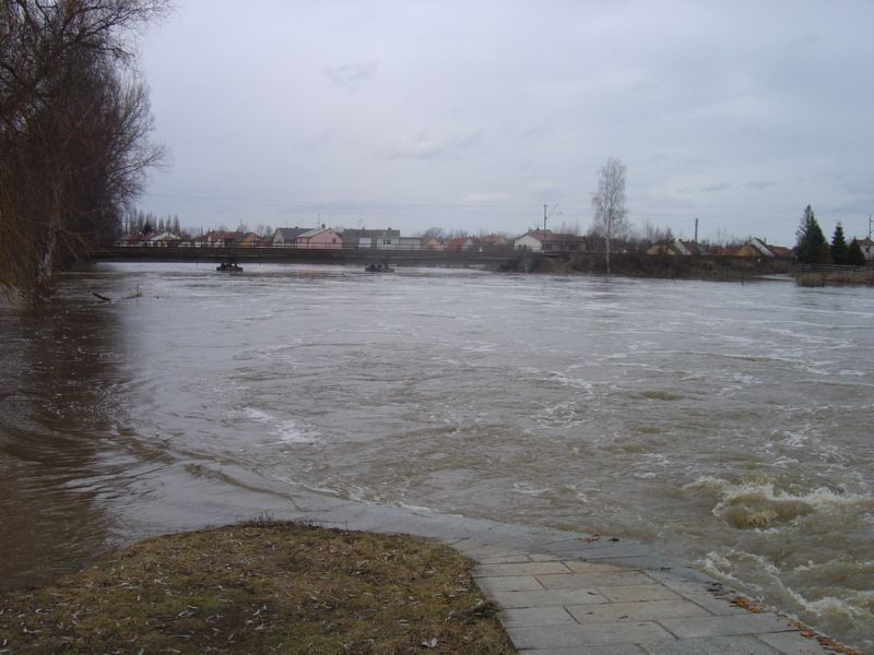 DSC03592