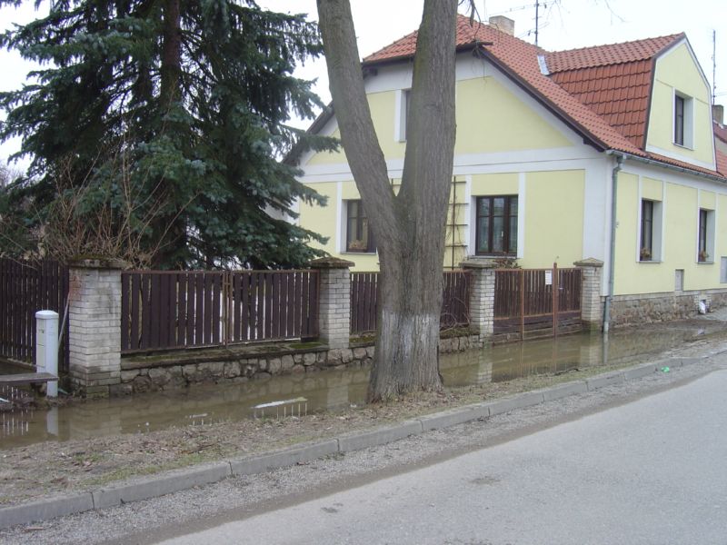 DSC03597