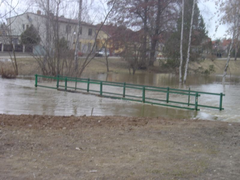 DSC03606