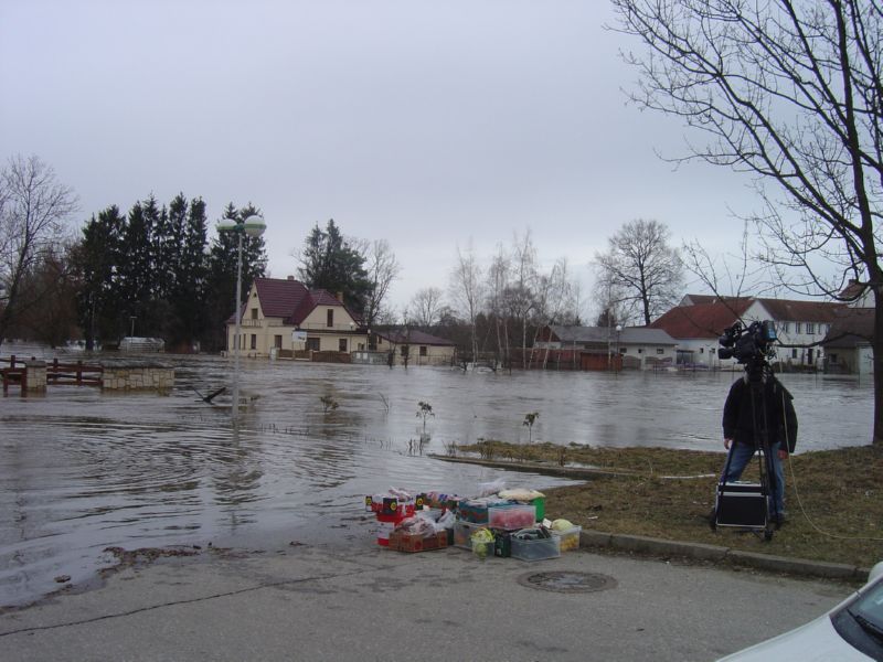 DSC03613