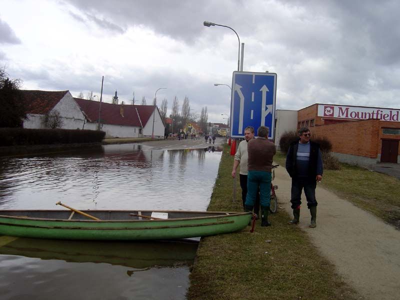 DSC03696